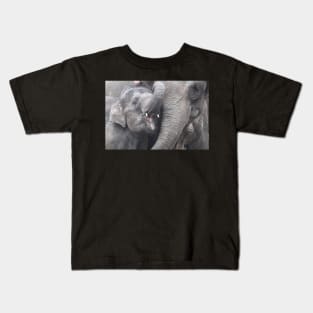 elephant baby / Swiss Artwork Photography Kids T-Shirt